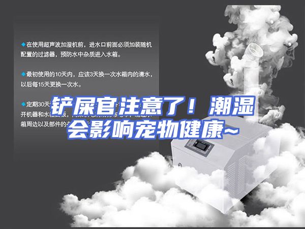 铲屎官注意了！潮湿会影响宠物健康~