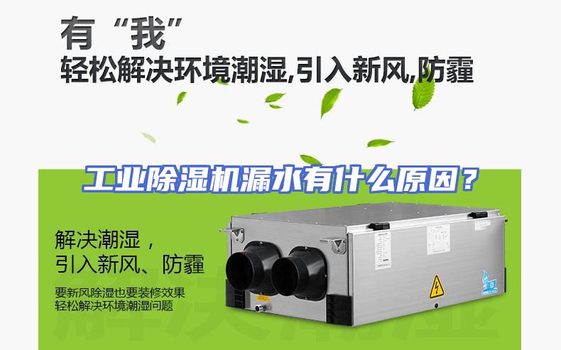 工业除湿机漏水有什么原因？