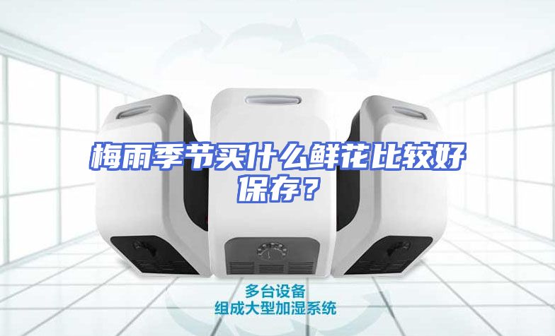 梅雨季节买什么鲜花比较好保存？