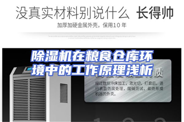 除湿机在粮食仓库环境中的工作原理浅析