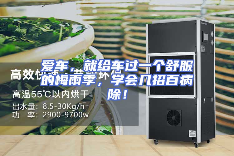 爱车，就给车过一个舒服的梅雨季，学会几招百病除！
