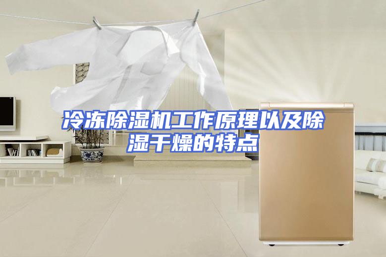 冷冻除湿机工作原理以及除湿干燥的特点
