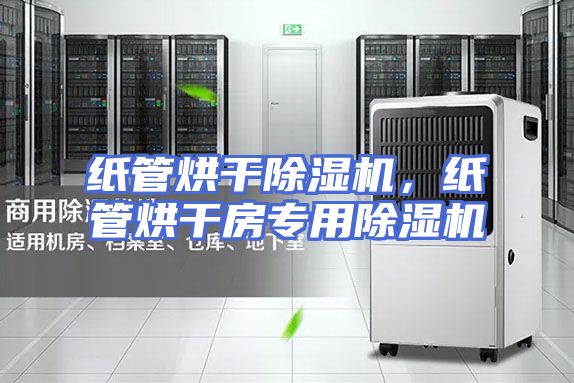 纸管烘干除湿机，纸管烘干房专用除湿机