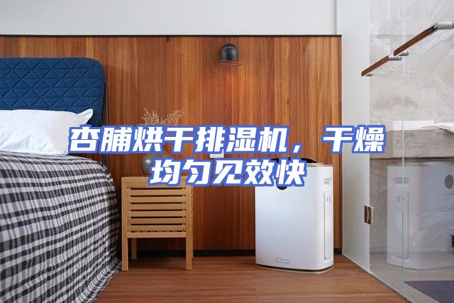 杏脯烘干排湿机，干燥均匀见效快