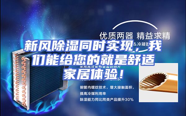 新风除湿同时实现，我们能给您的就是舒适家居体验！