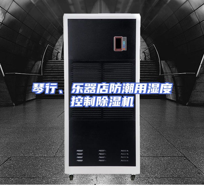 琴行、乐器店防潮用湿度控制除湿机