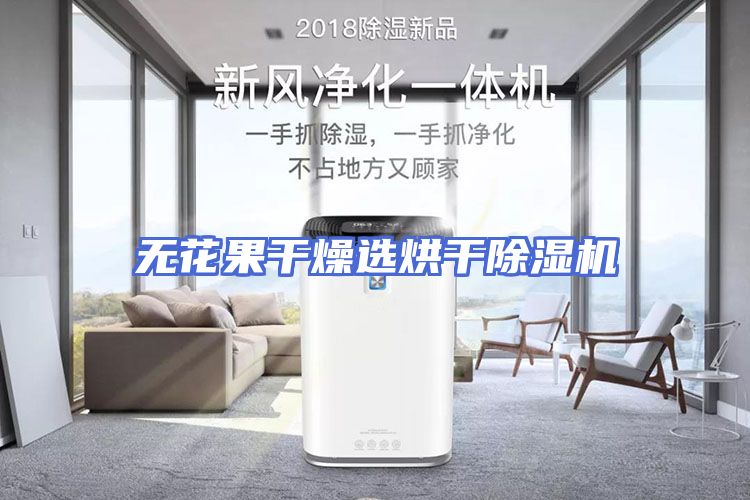 无花果干燥选烘干除湿机