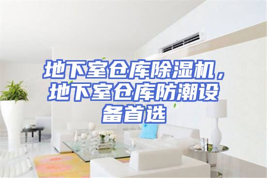 地下室仓库除湿机，地下室仓库防潮设备首选