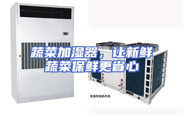 蔬菜加湿器，让新鲜蔬菜保鲜更省心
