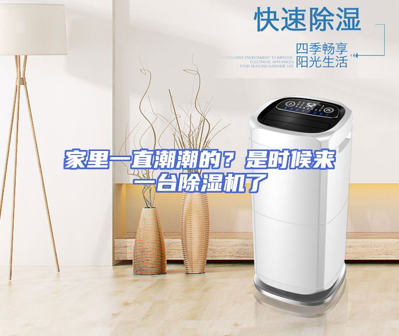 家里一直潮潮的？是时候来一台除湿机了