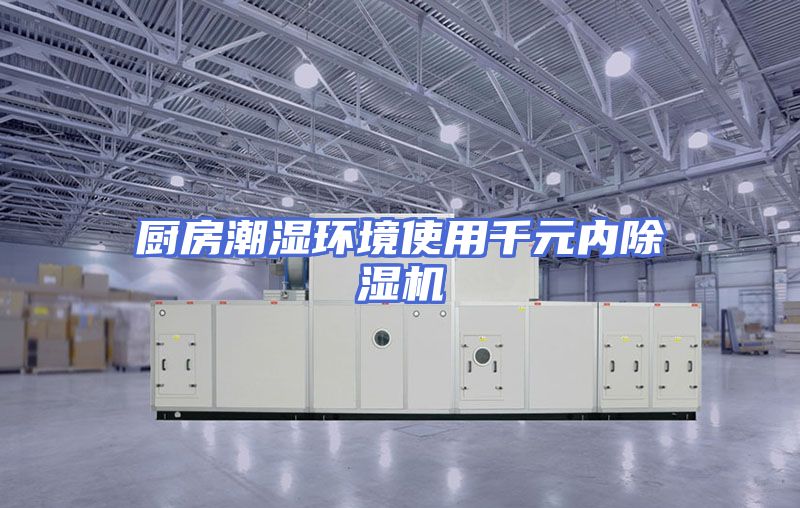 厨房潮湿环境使用千元内除湿机