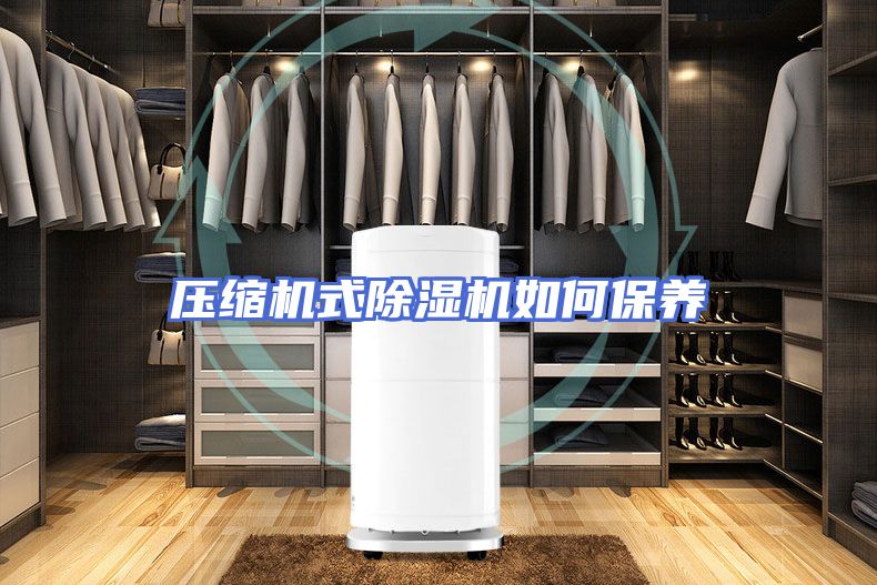 压缩机式除湿机如何保养