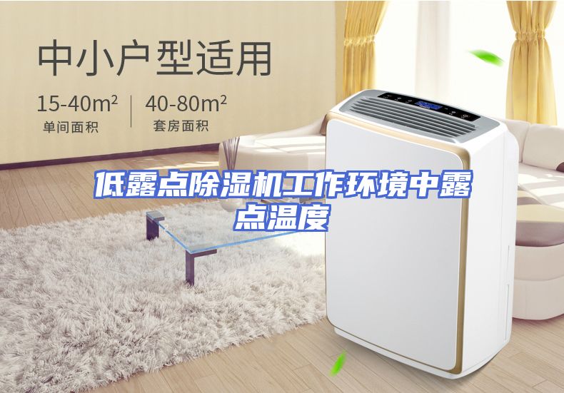 低露点除湿机工作环境中露点温度