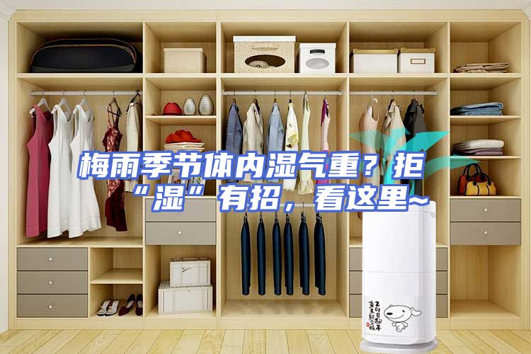 梅雨季节体内湿气重？拒“湿”有招，看这里~
