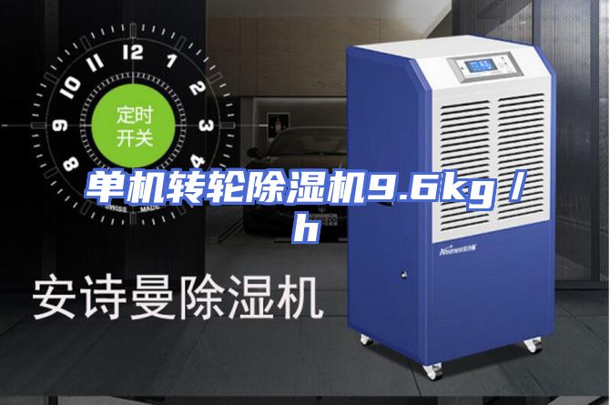 单机转轮除湿机9.6kg／h