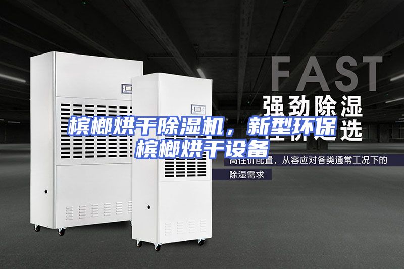 槟榔烘干除湿机，新型环保槟榔烘干设备