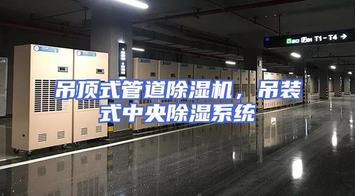 吊顶式管道除湿机，吊装式中央除湿系统