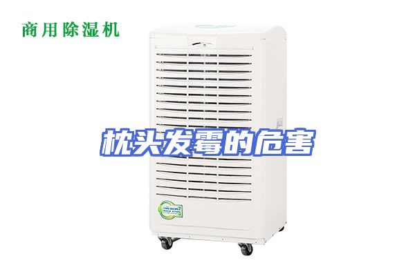 枕头发霉的危害