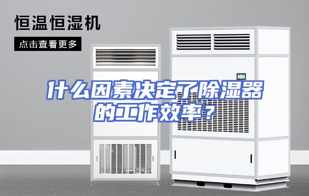 什么因素决定了除湿器的工作效率？