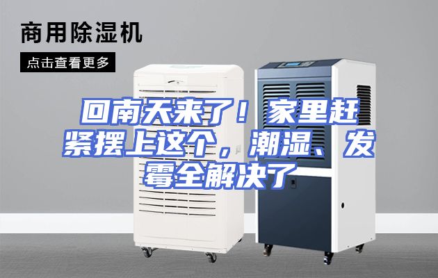 回南天来了！家里赶紧摆上这个，潮湿、发霉全解决了