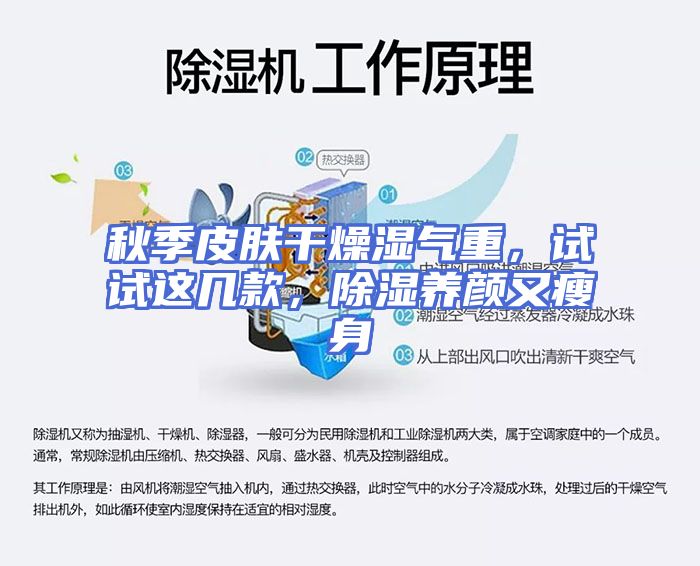 秋季皮肤干燥湿气重，试试这几款，除湿养颜又瘦身