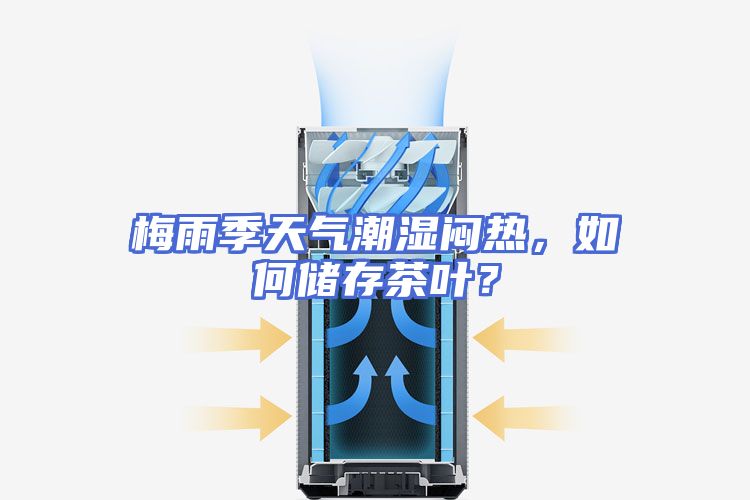 梅雨季天气潮湿闷热，如何储存茶叶？