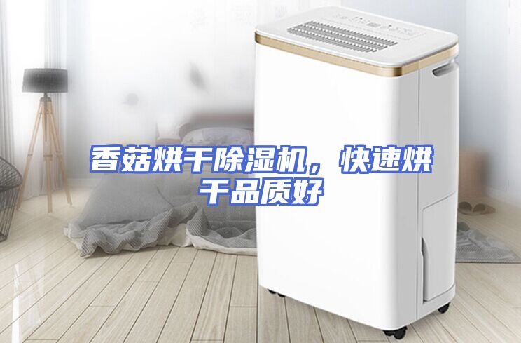 香菇烘干除湿机，快速烘干品质好