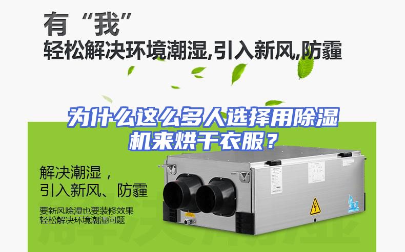 为什么这么多人选择用除湿机来烘干衣服？