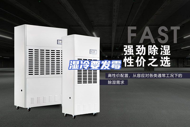 湿冷要发霉