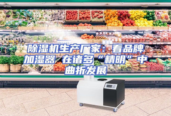除湿机生产厂家：看品牌加湿器 在诸多“精明”中曲折发展