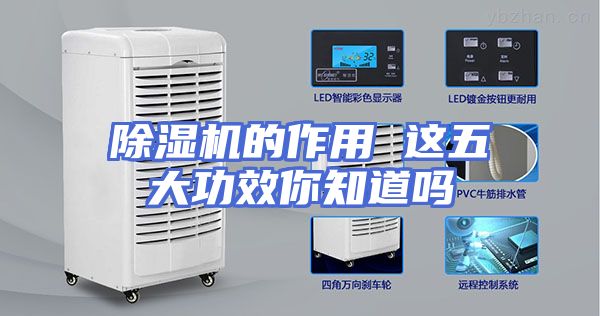 除湿机的作用 这五大功效你知道吗