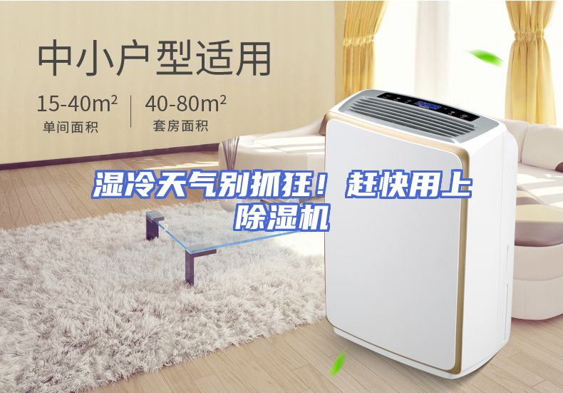 湿冷天气别抓狂！赶快用上除湿机