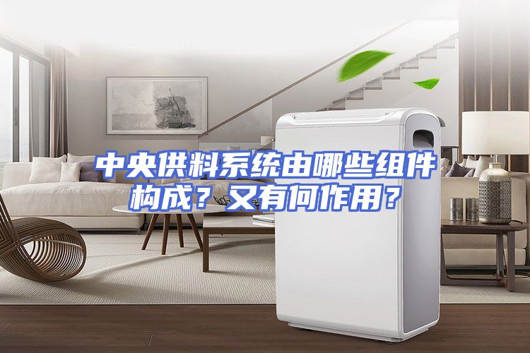 中央供料系统由哪些组件构成？又有何作用？