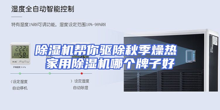 除湿机帮你驱除秋季燥热 家用除湿机哪个牌子好