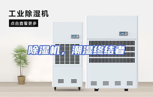 除湿机，潮湿终结者