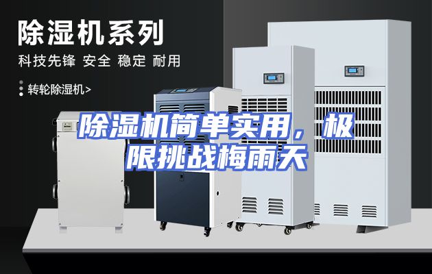 除湿机简单实用，极限挑战梅雨天