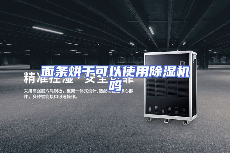 面条烘干可以使用除湿机吗