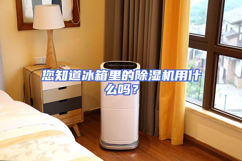您知道冰箱里的除湿机用什么吗？