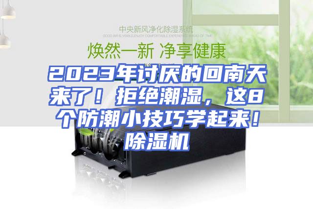 2023年讨厌的回南天来了！拒绝潮湿，这8个防潮小技巧学起来！除湿机