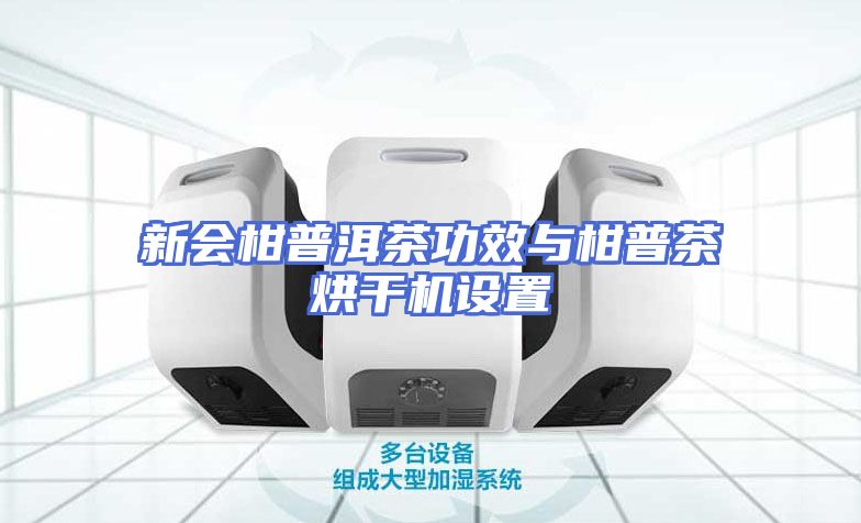 新会柑普洱茶功效与柑普茶烘干机设置