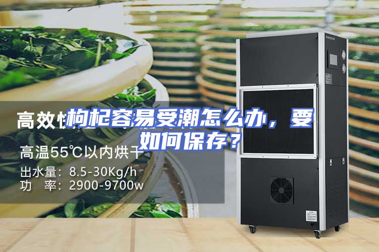 枸杞容易受潮怎么办，要如何保存？