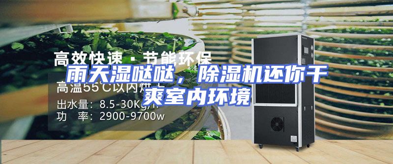 雨天湿哒哒，除湿机还你干爽室内环境