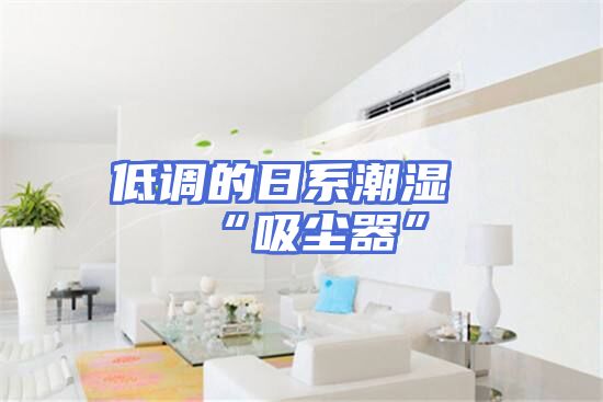 低调的日系潮湿“吸尘器”