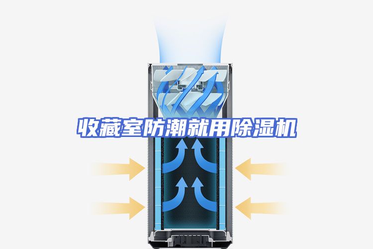 收藏室防潮就用除湿机