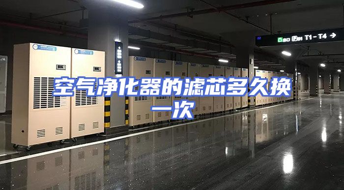 空气净化器的滤芯多久换一次