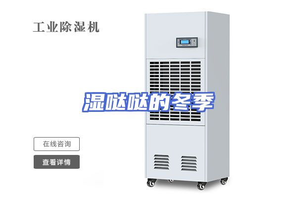 湿哒哒的冬季