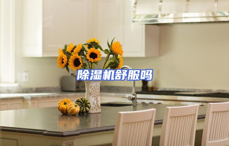 除湿机舒服吗