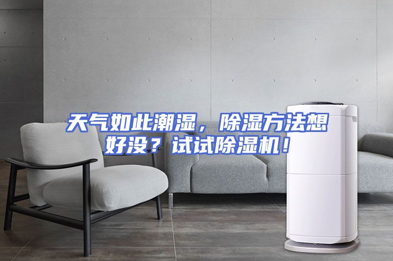 天气如此潮湿，除湿方法想好没？试试除湿机！