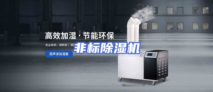 非标除湿机