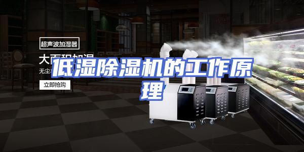 低湿除湿机的工作原理